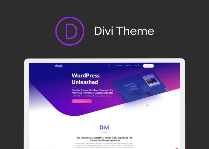 Divi Theme